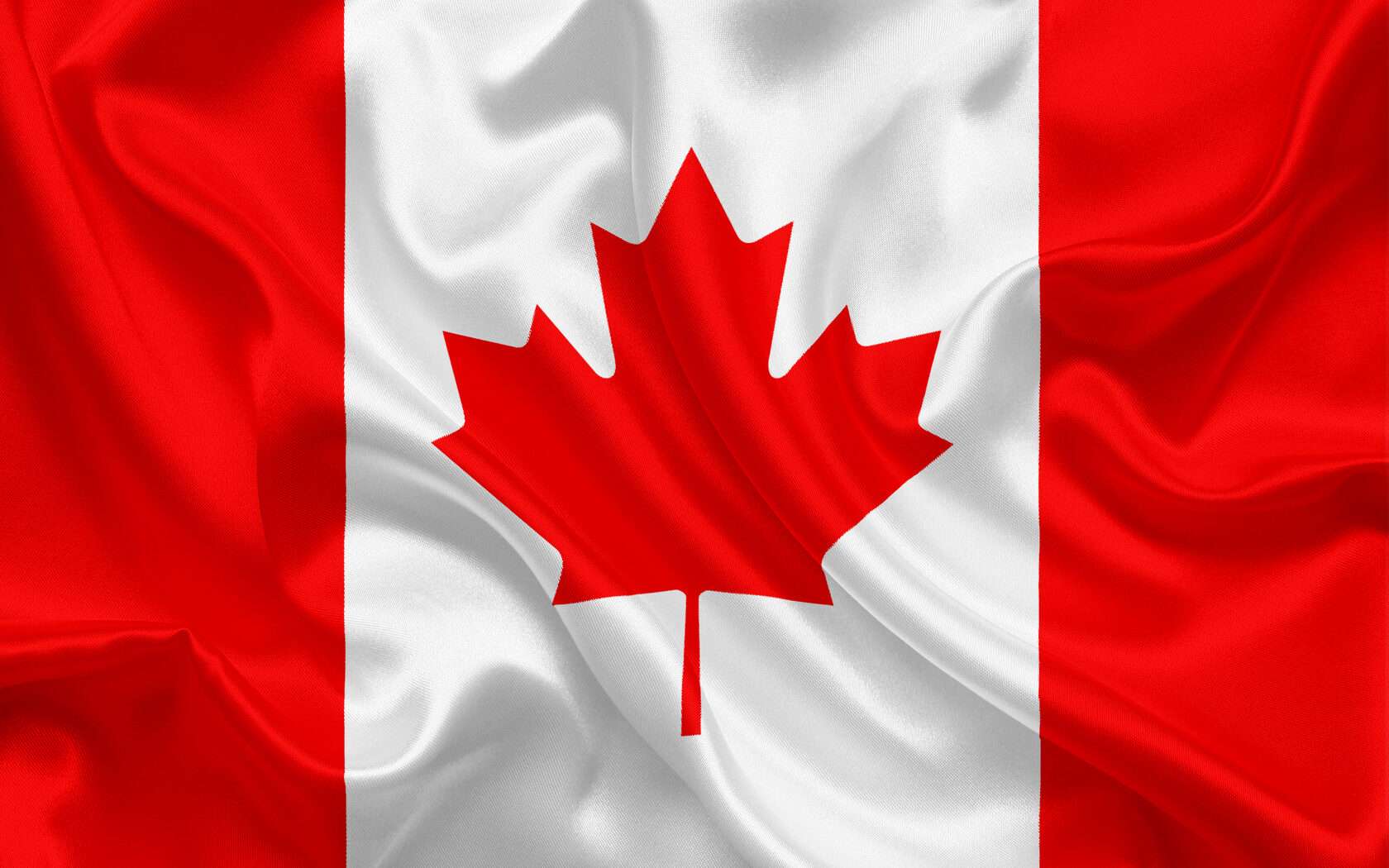 WORLD CUP TOP - Northern Pearl 🇨🇦